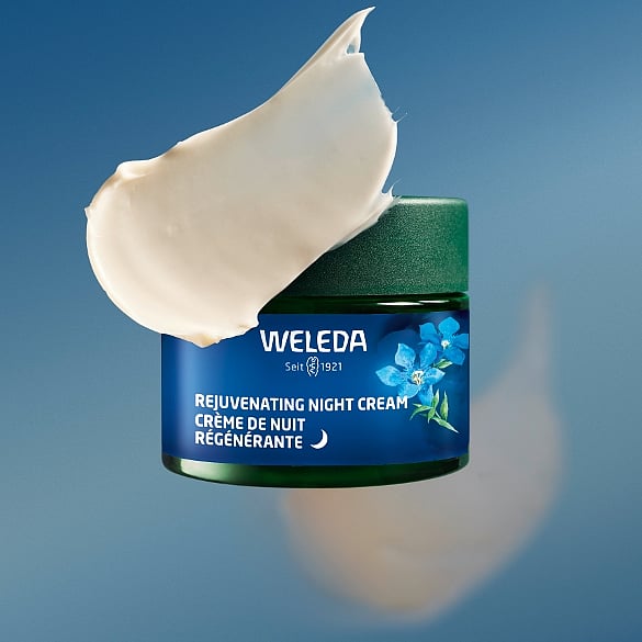 rejuvenating night cream