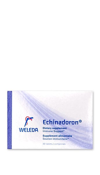 Echinadoron