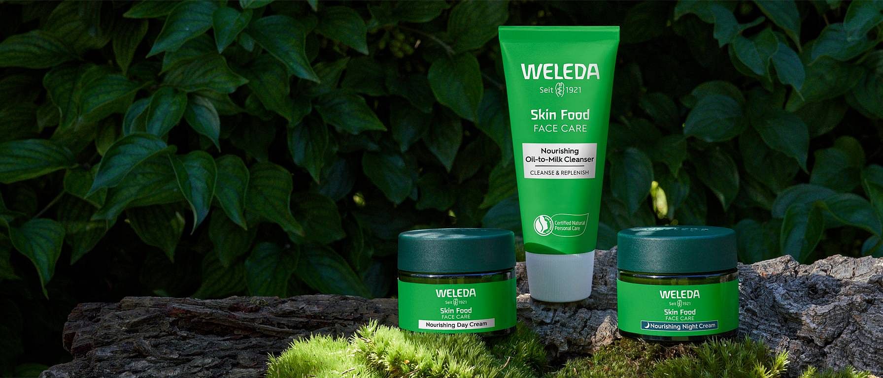 skin food face items on a rock surrounded by deep green leaves