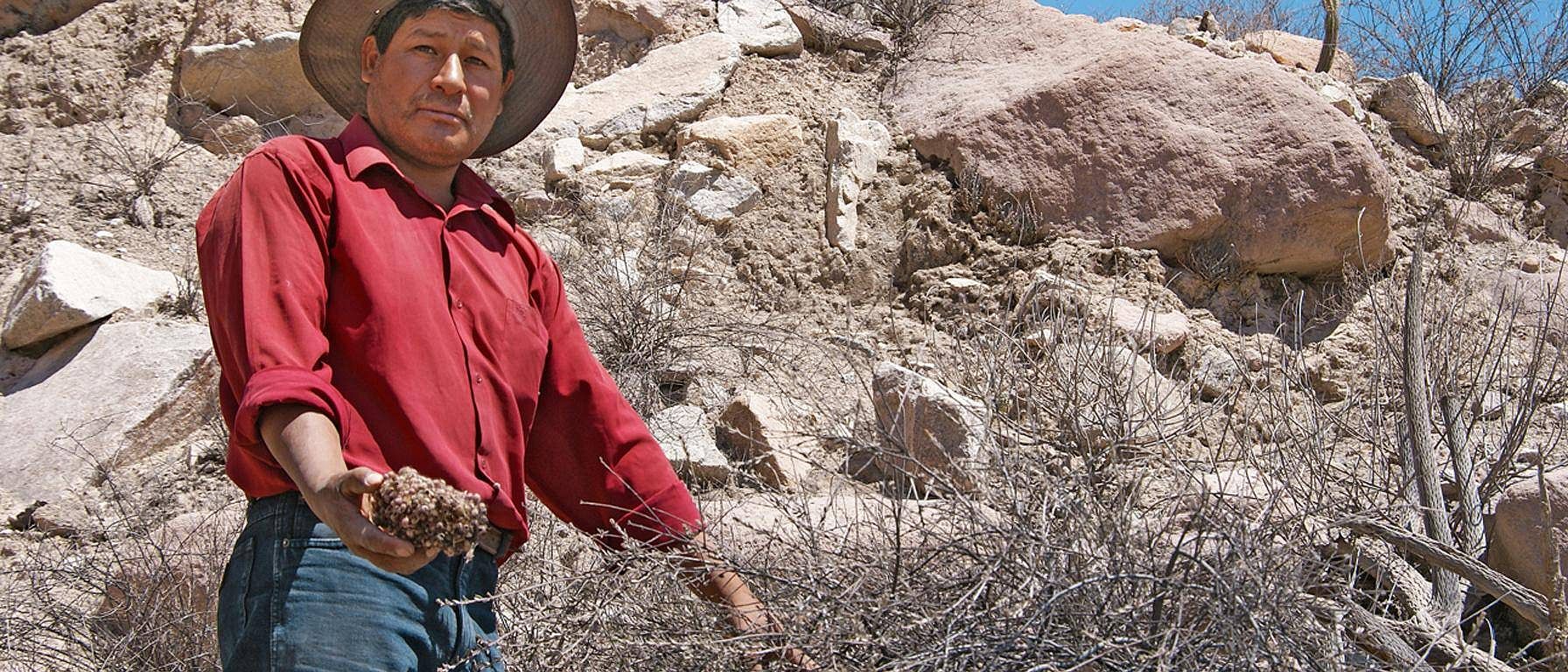 man in a red shirt in front of a mountain