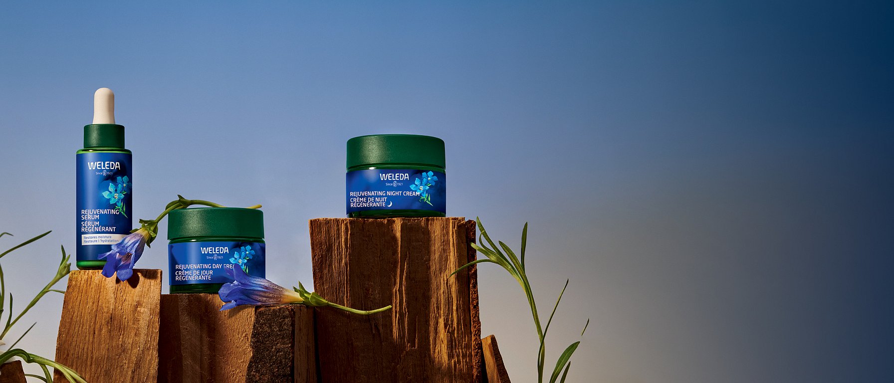 open jar of rejuvenating day cream