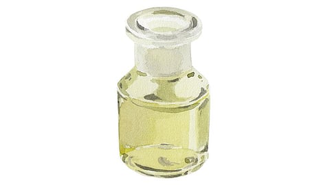 Udveksle At bidrage makker Fragrance (Parfum)