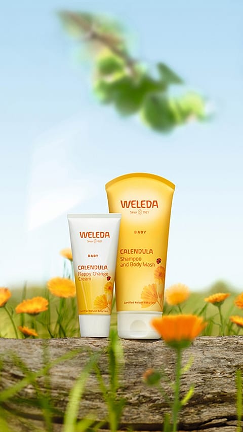 Calendula Baby Products