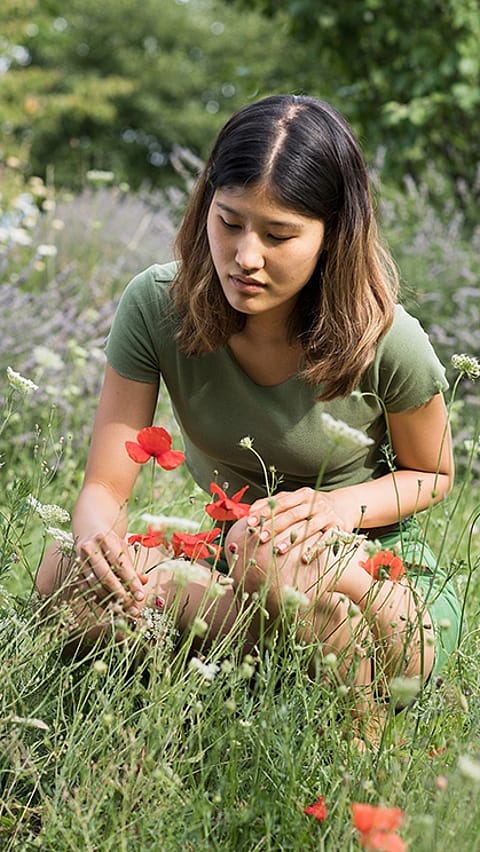 woman bending in field to pick flowers