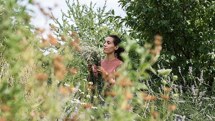 grassy field