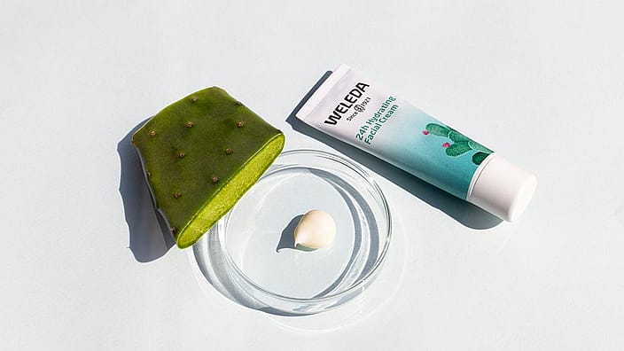 weleda sheer hydration product next to a petri dish and cactus