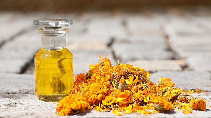calendula petals next to a bottle of calendula oil