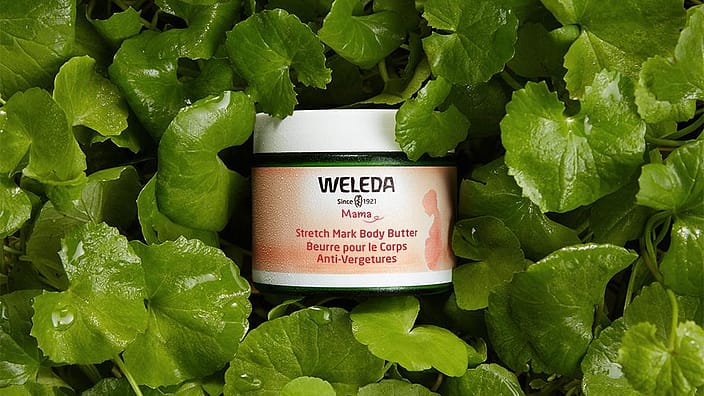 weleda stretch mark body butter on a pile of cica leaves