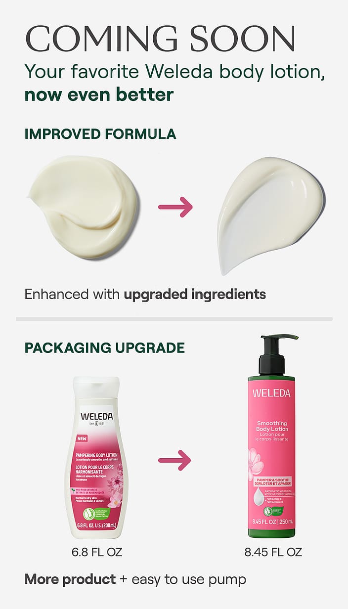 Pampering Body Lotion - Wild Rose