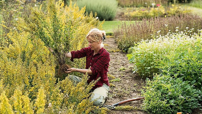 woman gardening