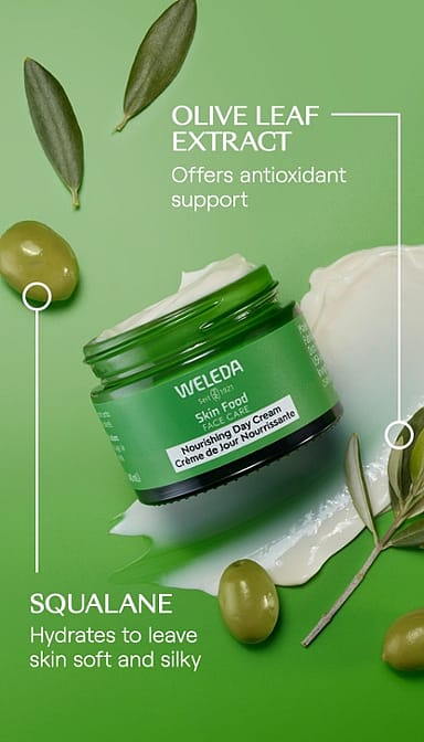 Skin Food Face Care Nourishing Day Cream