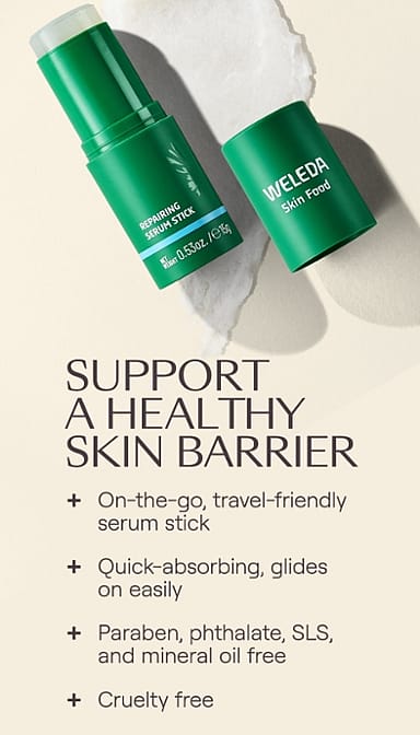 Skin Food Repairing Serum Stick