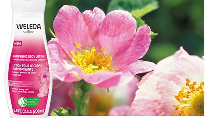 rose body lotion