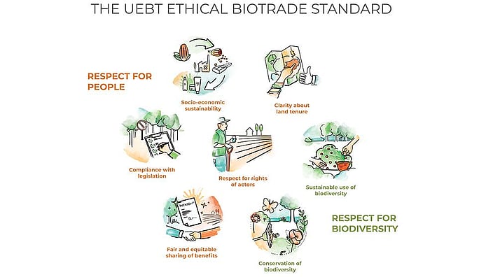 UEBT diagram