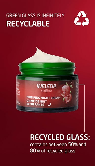 Plumping Night Cream