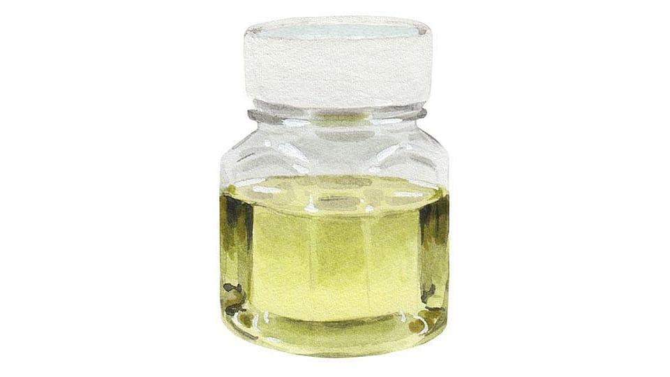 Polyglyceryl-4 Caprate