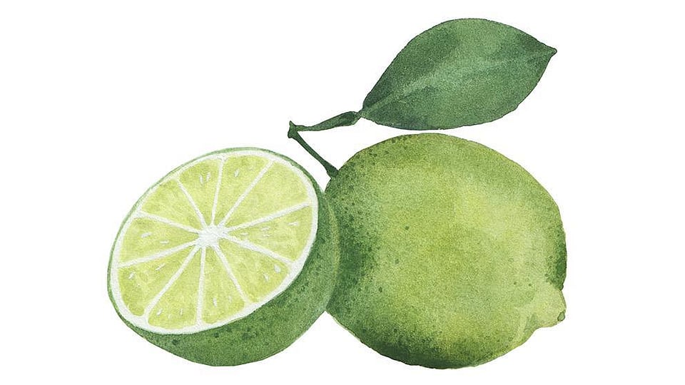 Citrus Aurantifolia Lime Peel Oil Weleda