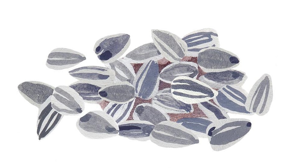 Helianthus Annuus (Sunflower) Seed Wax Weleda