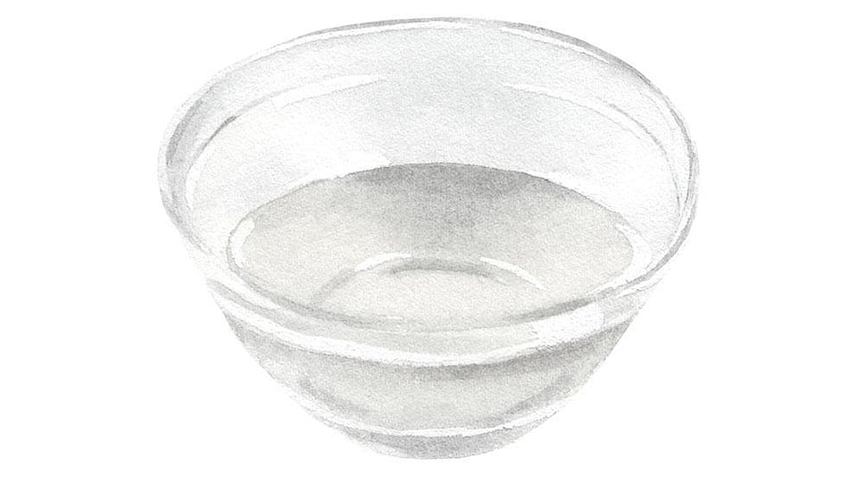 Lactobacillus Ferment Lysate - Weleda