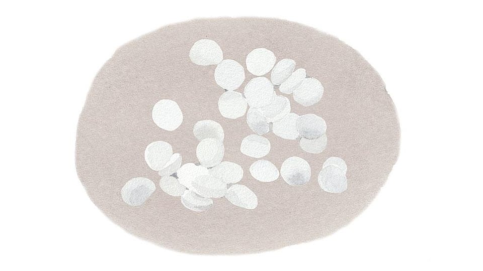 Rhus Verniciflua Peel Wax