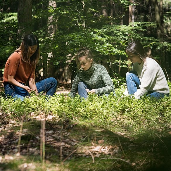 three people sitting in a grassy meadow