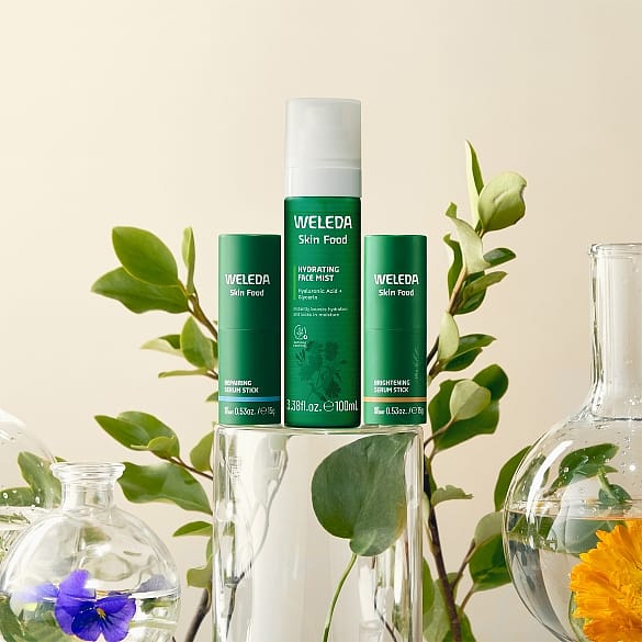 skin food mist and serum sticks collection