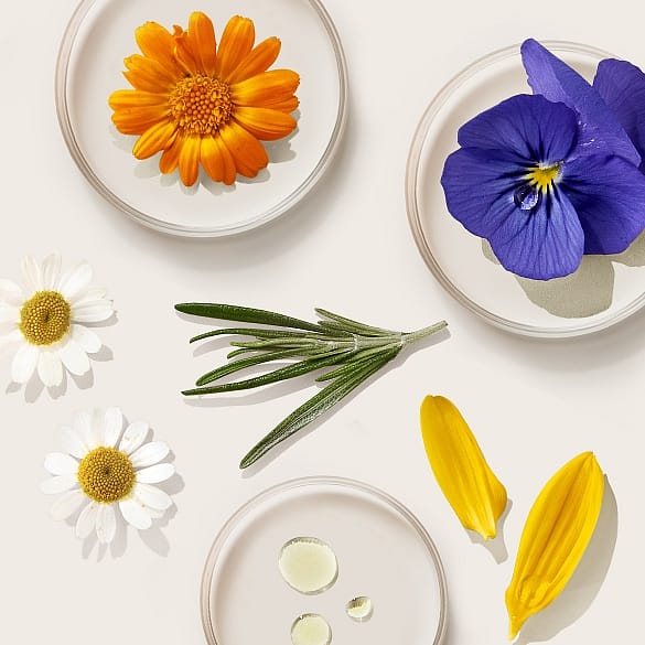 skin food botanical blend