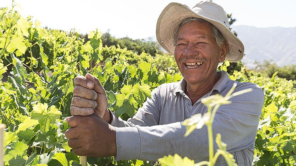 Farmer holding crop