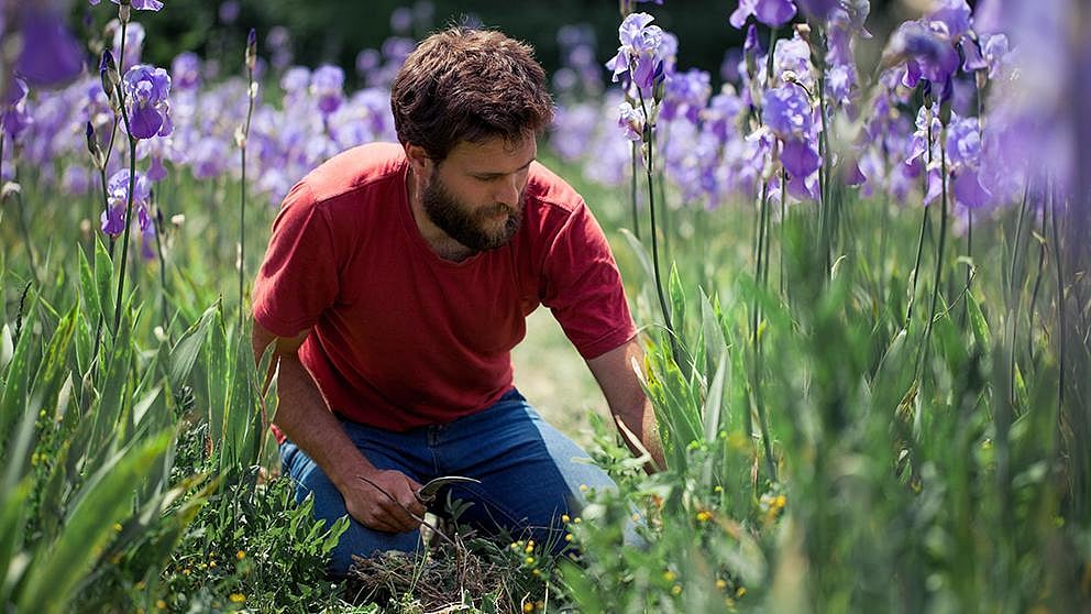 Farmer and flowers